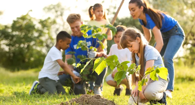 Bids For New Welsh Schools Will Form Blueprint For Future Tes   Her Ysgolion Cynaliadwy   Sustainable Schools Challenge Fund  .webp